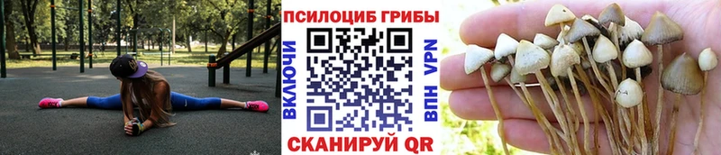 Псилоцибиновые грибы Magic Shrooms  МЕГА ONION  Курган 